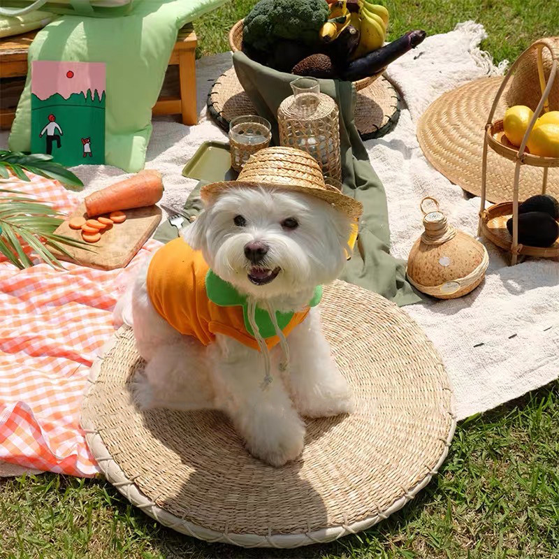 Kokvilnas Vasaras Cosplay Pet Transformation Burkānu Īsā Veste Jauki Lācītis Kaķu Suņu Apģērbi Kleitas Maziem Suņiem Mascotas