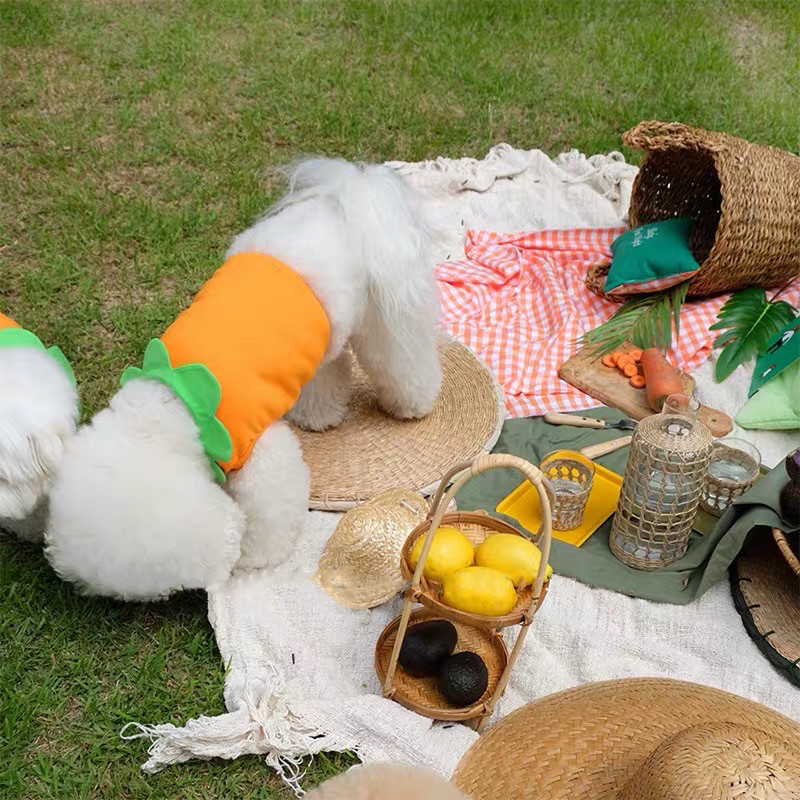 Kokvilnas Vasaras Cosplay Pet Transformation Burkānu Īsā Veste Jauki Lācītis Kaķu Suņu Apģērbi Kleitas Maziem Suņiem Mascotas