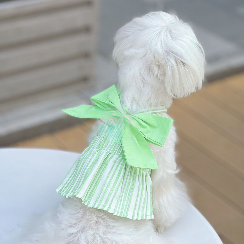 Pavasara/vasaras svītraina Bowknot Traction sprādze, viegla kleita