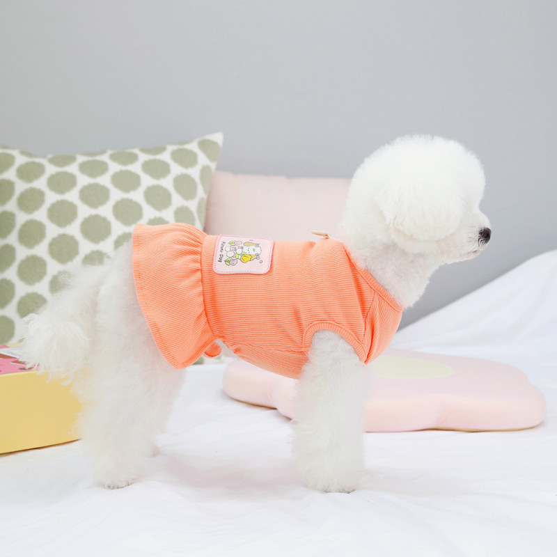 Kucēns Princeses Kleita Pavasaris Vasaras Mode Karikatūra Veste Maza Suņa Dizainera svārki Mājdzīvnieks Saldais krekls Kaķu drēbes Pūdelis Pomerānijas