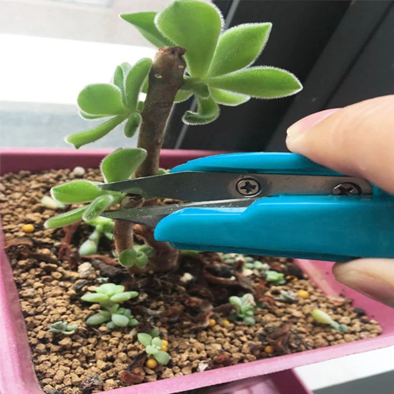 Nonvor 1tk lõngakäärid peen vanaaegne kääride tikandid niidi lõikamine plastikust käepidemega käärid spetsiaalsed U-kujulised käärid