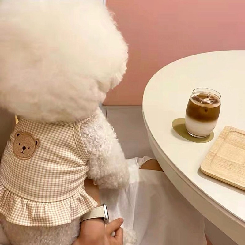 Mājdzīvnieku suns kroku svārki kucēnu bikšturi vasaras rotaļu pūdelis Pomerānijas lācis mazs kaķis plānas princeses svārki maziem un vidējiem suņiem