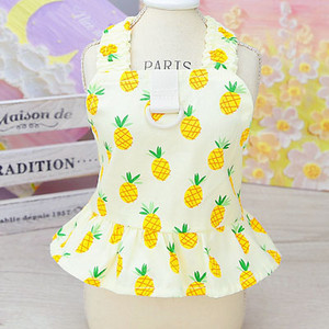 Augļu raksta kleita suņu bikšturi vasaras mājdzīvnieku apģērbi bez piedurknēm suņu veste svārki kucēnu kaķu kreklu svārki maziem suņiem čivava