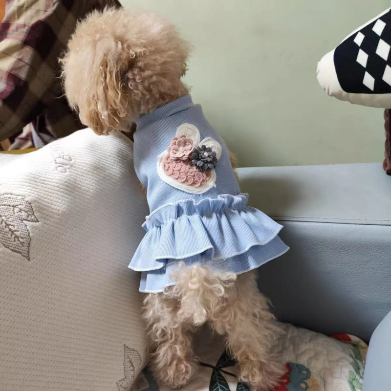 Väike koerakleit Kevadsuvi Printsess Seelik Lemmikloomade Mood Multifilm Vest Kutsikas Magusad Riided Kassisärk Chihuahua Puudel Pomeranian