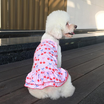 Φόρεμα κατοικίδιων ζώων με μοτίβο κεράσι καρό εκτύπωσης επιφάνειας φρούτων καλοκαιρινό σκύλο Ρούχα με δύο πόδια για δέρμα κατοικίδιων