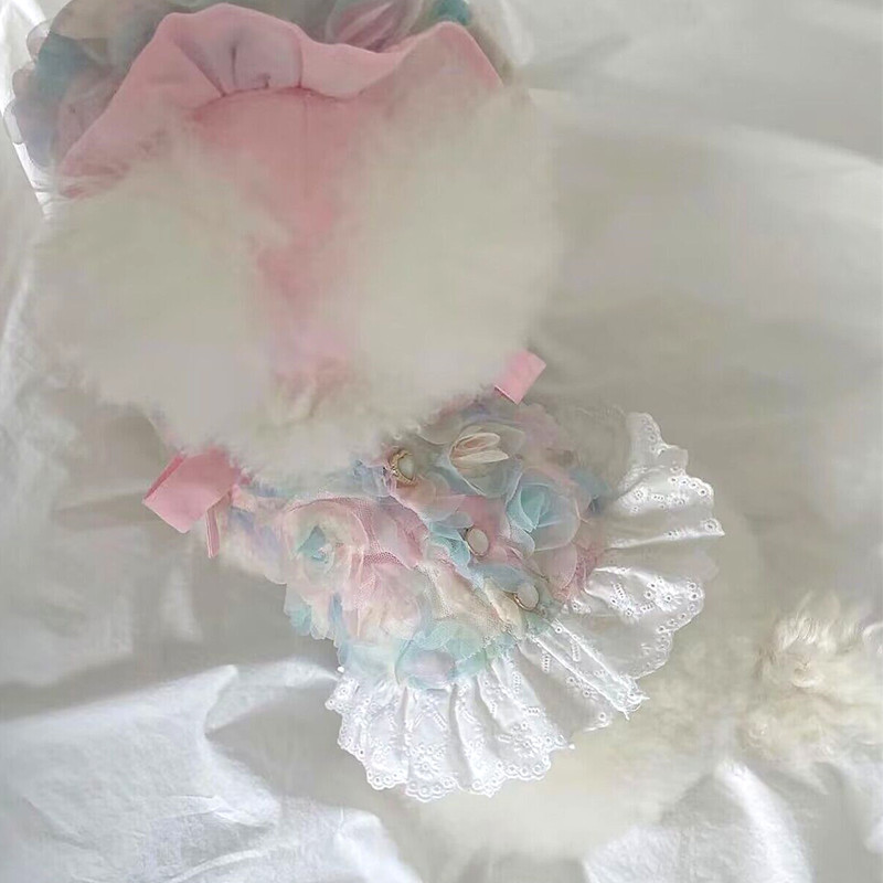 Teddy roosi kroonlehega kleit Lemmiklooma koera suvekleit Bichon Kaunid riided Kutsika Suspensiga särk Printsessi seelik emasele koerale