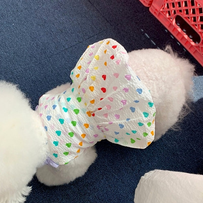 Kevadsuvi Lemmikloomariided Kassipoeg kutsikas õhuke seelik Armas rihmaga seelik Väike ja keskmise suurusega koer Armas printsessi kleit Yorkshire