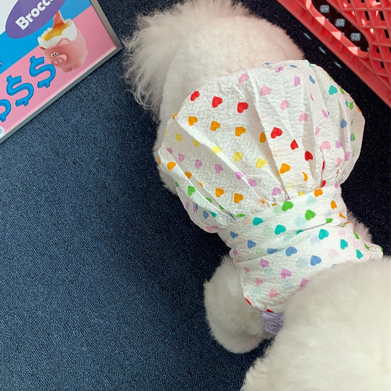 Kevadsuvi Lemmikloomariided Kassipoeg kutsikas õhuke seelik Armas rihmaga seelik Väike ja keskmise suurusega koer Armas printsessi kleit Yorkshire