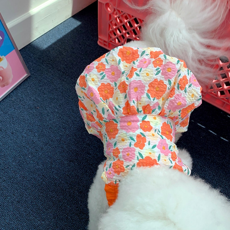 Kevadsuvi Lemmikloomariided Kassipoeg kutsikas õhuke seelik Armas rihmaga seelik Väike ja keskmise suurusega koer Armas printsessi kleit Yorkshire