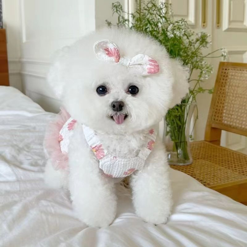 Mājdzīvnieks Daisy Sling Kleita Suņu Apģērbs Pavasara/Vasaras tauriņš, Pavelkams Pogas Dzija Kleita Lācīši Suņi Kaķi Plāns Saules aizsardzības apģērbs