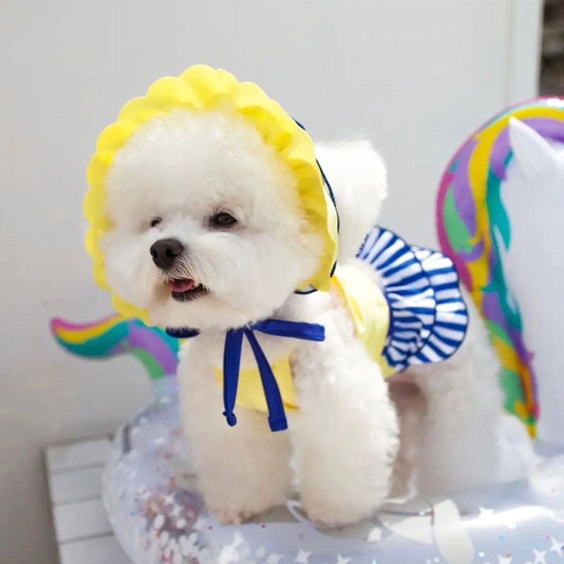 Mājdzīvnieku veste svārki Bichon Divdaļīga vasaras kleita Pomerānijas kleita Svītraina suņa apģērbi Suņu peldkostīmu veste Moderni mājdzīvnieku piederumi