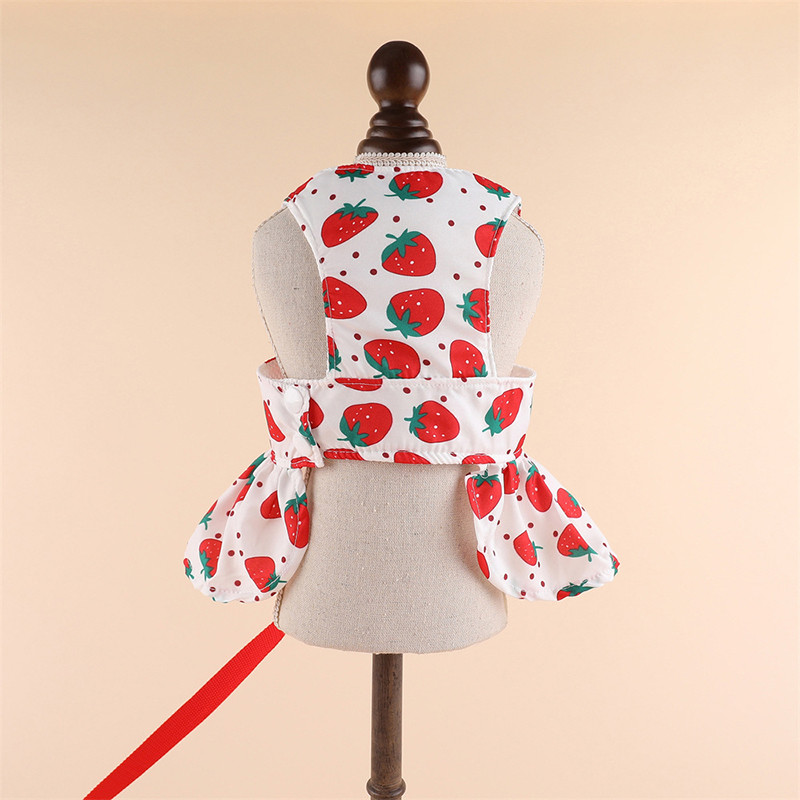 Bow lilleline koerakleit Printsesskleit rõngasrihmaga Lemmikloomariided väikestele koertele Õhuke suvine magus kutsikaseelik chihuahuale