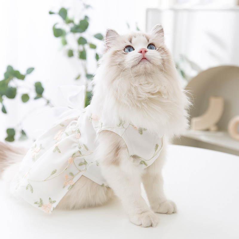 Armas koerakleit Lilleline koera võrkkleit kassipoeg kutsikas lemmiklooma seelik suvine koerariided vibu pits koera printsessi kleit chihuahua riided