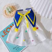 Armas suvine printsess seelik Lemmiklooma koera riided Armas kleit koertele Riietus Kass väikeses kirjas Armas õhuke kevadsuvine tüdruk Chihuahua