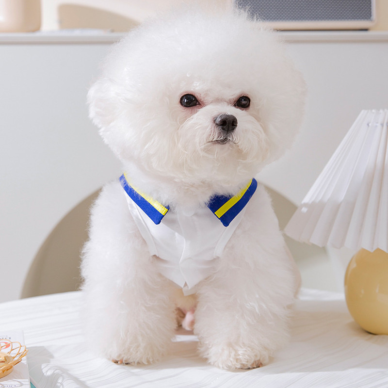 Armas suvine printsess seelik Lemmiklooma koera riided Armas kleit koertele Riietus Kass väikeses kirjas Armas õhuke kevadsuvine tüdruk Chihuahua