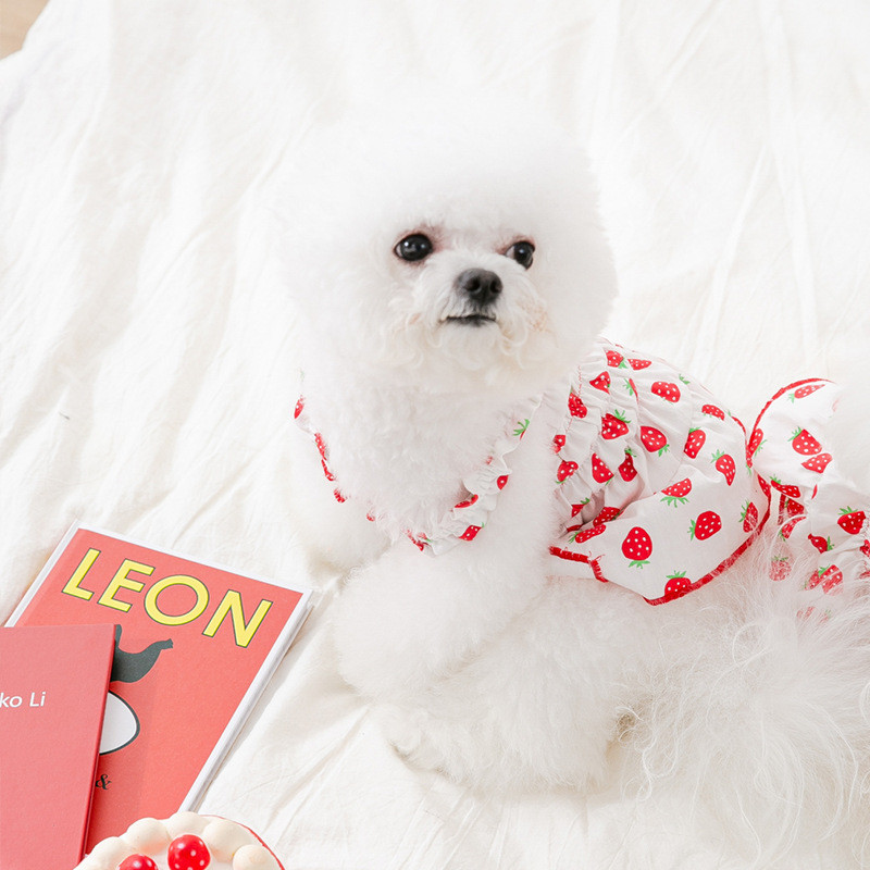 Pavasara vasara zemeņu pilna apdruka kucēnu suņu apģērbi kaķu divkājainu veste kleita plānas daļas elpojoši mājdzīvnieku suņu svārki maskoti