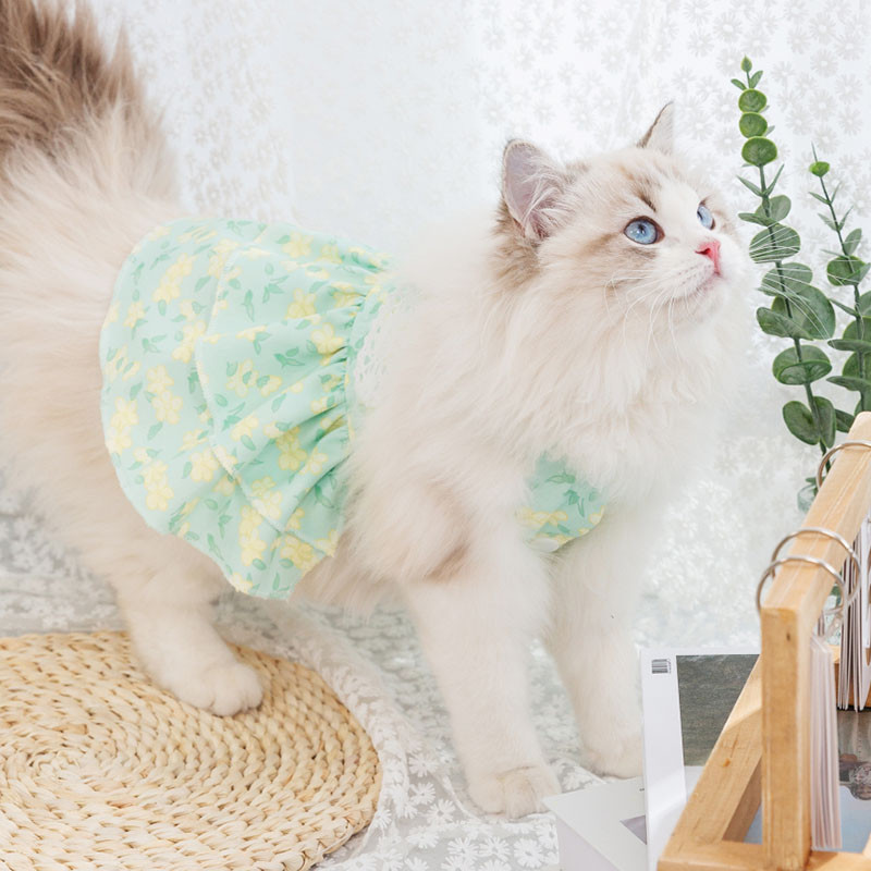 Jaapani stiilis kaisuprintsesskleit suvine karvalibisemisvastane kleit lemmikloomade bichon riided kevadsuvine õhuke seelik