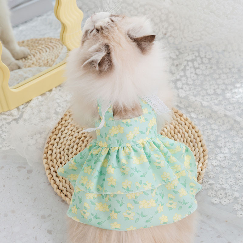 Jaapani stiilis kaisuprintsesskleit suvine karvalibisemisvastane kleit lemmikloomade bichon riided kevadsuvine õhuke seelik