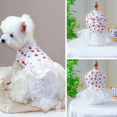 Koera kassi tüllkleit Koerakleit ümmargune kaelus, varrukateta võrkäär, maasikamustriga lemmikloomatarbed