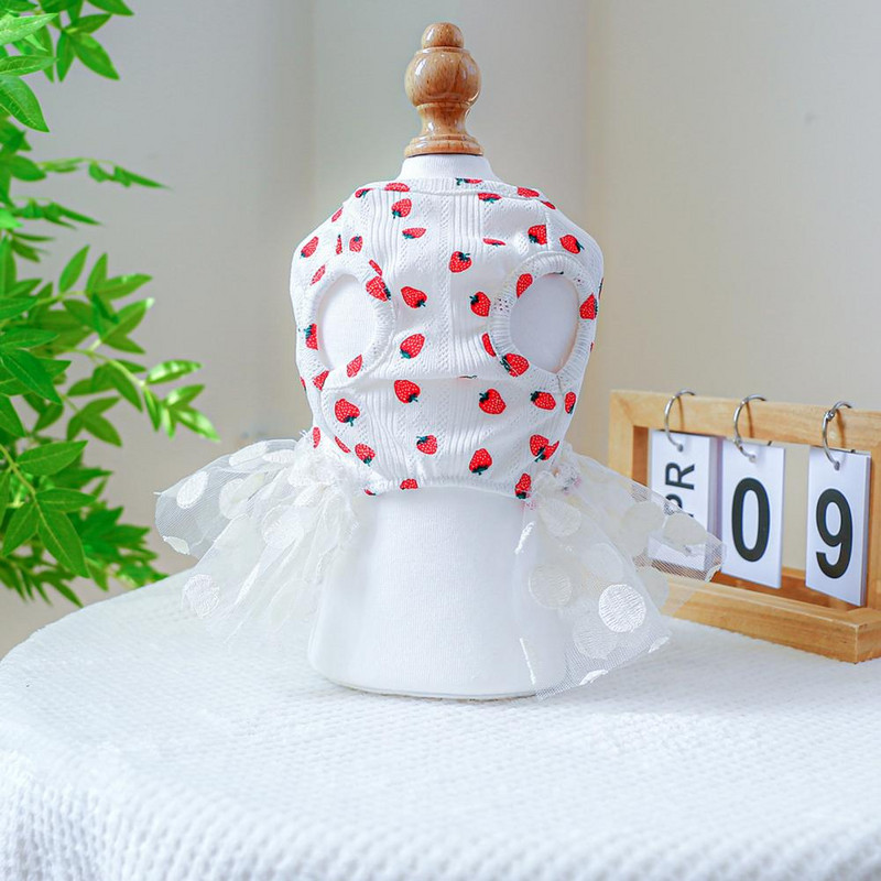 Koera kassi tüllkleit Koerakleit ümmargune kaelus, varrukateta võrkäär, maasikamustriga lemmikloomatarbed