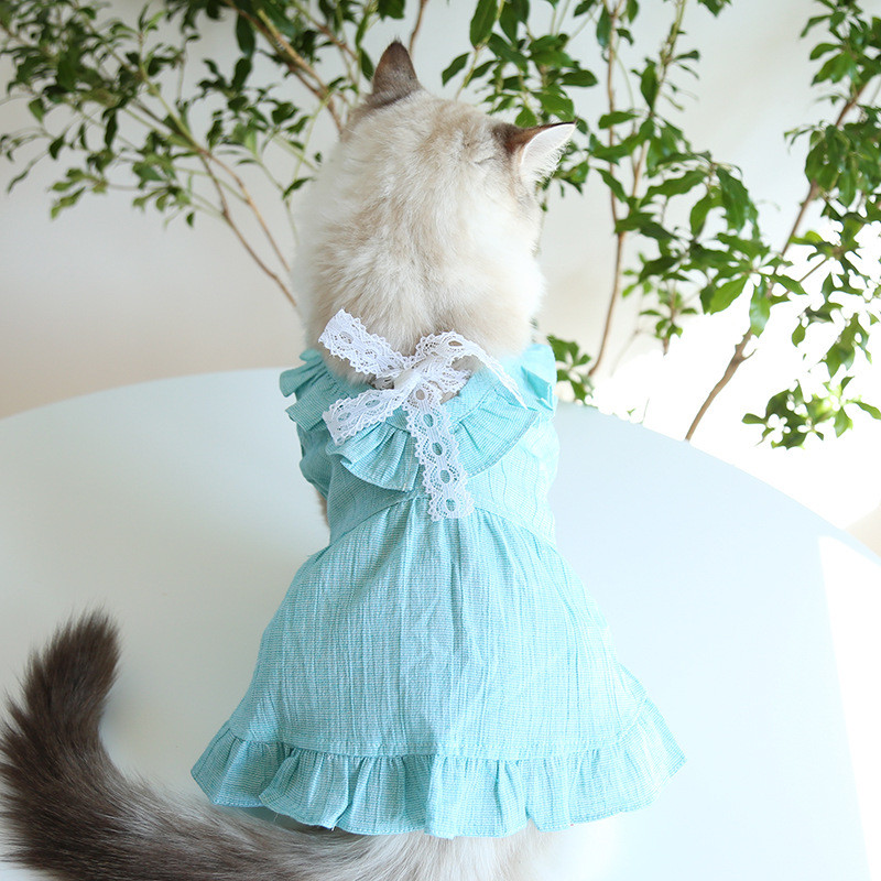 Îmbrăcăminte pentru câini Culori gri albastru Rochii de vară pentru câini pentru 2023 Cele mai noi fuste de epocă cu guler din dantelă pentru câini haine pentru animale de companie
