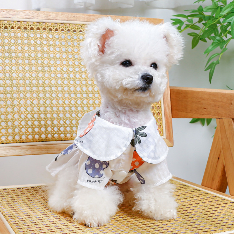 Kutsikas printsess Kleit Kevadsuvi Lemmikloomade Mood Multifilm Seelik Väike koer Armas Disainersärk Kass Armsad Riided Chihuahua Malta