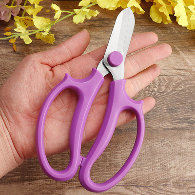 Škare za orezivanje cvijeća Vrtne škare Kućne škare za cvijeće Alati za sadnju Škare za aranžiranje cvijeća Vrtlarski alati