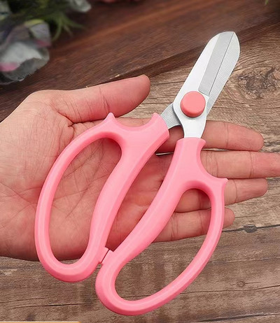 Škare za orezivanje cvijeća Vrtne škare Kućne škare za cvijeće Alati za sadnju Škare za aranžiranje cvijeća Vrtlarski alati