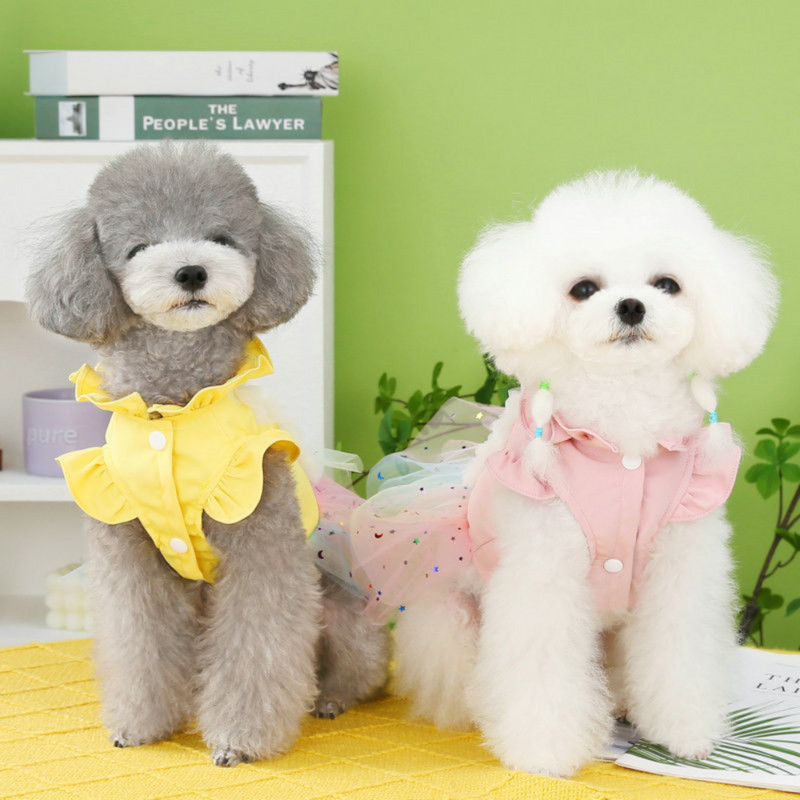 Haine pentru animale de companie Primavara Vara Rochie de printesa dulce Pisica Harna de moda Caine mic Fusta din dantela drăguț Vestă pentru cățeluș Chihuahua Pudel Maltez