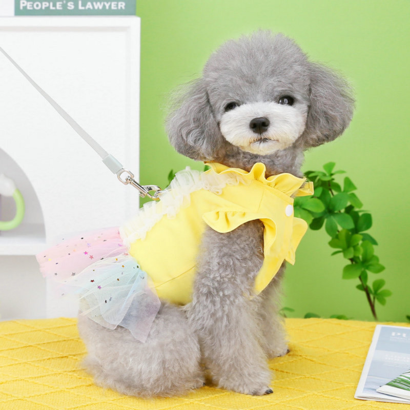 Haine pentru animale de companie Primavara Vara Rochie de printesa dulce Pisica Harna de moda Caine mic Fusta din dantela drăguț Vestă pentru cățeluș Chihuahua Pudel Maltez