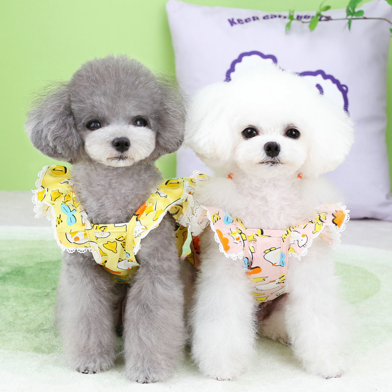 Rochie pentru câini de talie mică Îmbrăcăminte Fusta de vară Rochie de pisică pentru câini Yorkies Shih Tzu Caniche maltez Bichon Frise Schnauzer Haine Costum pentru câini