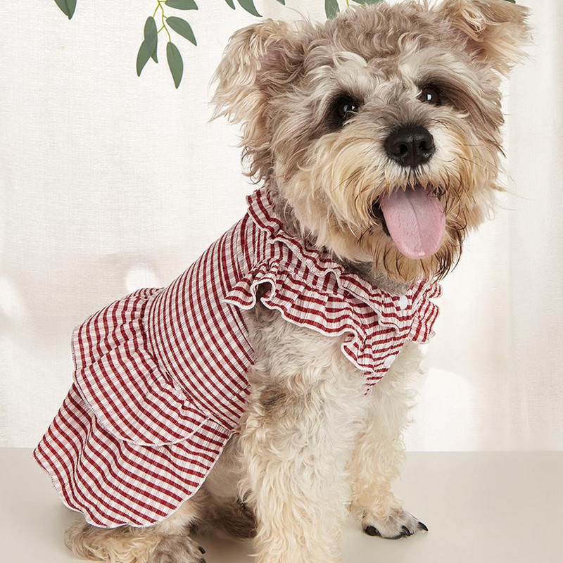 Fusta eleganta pentru caine Adorabila elasticitate ridicata Textura moale Costum mic Bulldog francez Fusta moale draguta