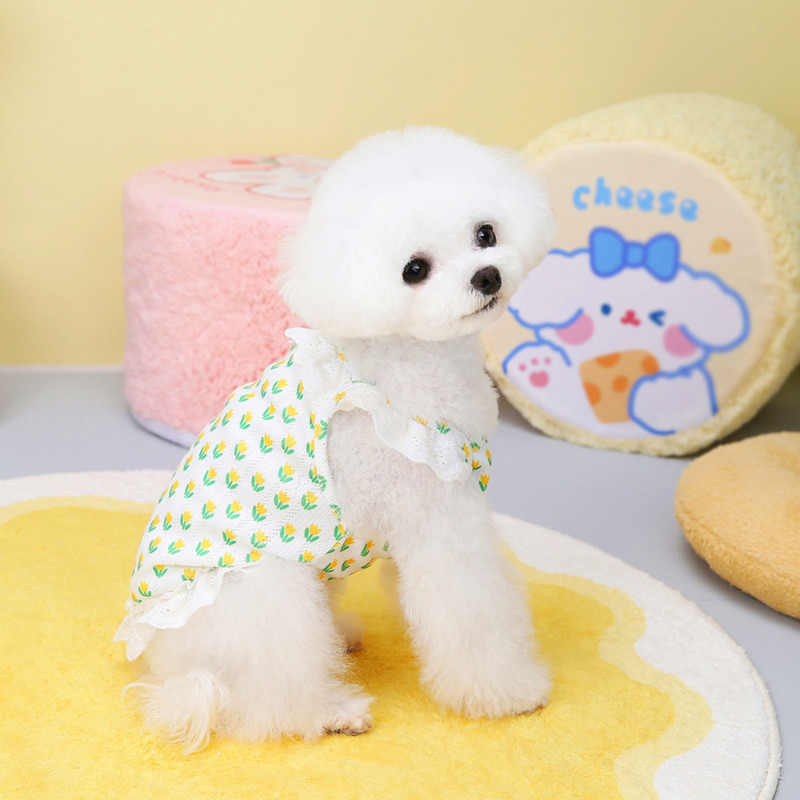 Mājdzīvnieku veste Vasaras Pavasara Mode Karikatūra Svārki Maza Suņa Princeses Kleita Kaķim Salda Dizaineru Apģērbi Kucēnu Krekls Čivava Jorkšīra