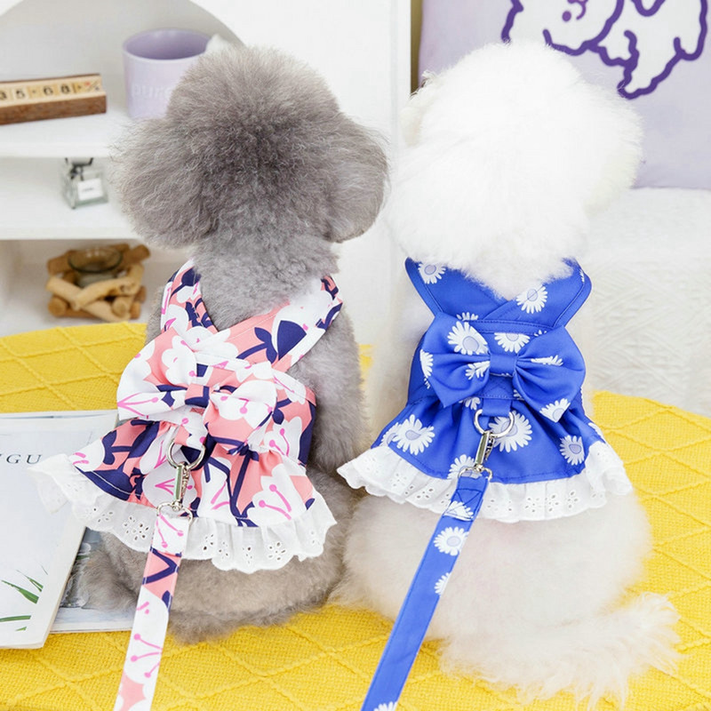 Suvine koerakleit Lemmikloomarakmed rinnarihmaga Tõmbeköis Kass Väikesed koerad Riided Rakmed Vest Printsess Seelik Chihuahua Kleit