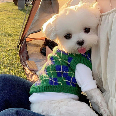 Pulover tricotat pentru animale de companie Teddy în carouri verde Haine de toamnă și iarnă Haine moi pentru câini Pulover de modă pentru cățeluș Produse pentru animale de companie XS-XL