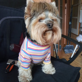 Ρούχα για σκύλους κατοικίδιων ζώων Μπλουζάκι για κουτάβι γιλέκο χαριτωμένη πιτζάμες χειμωνιάτικο πουκάμισο πουκάμισο με ριγέ ιριδίζον πουλόβερ