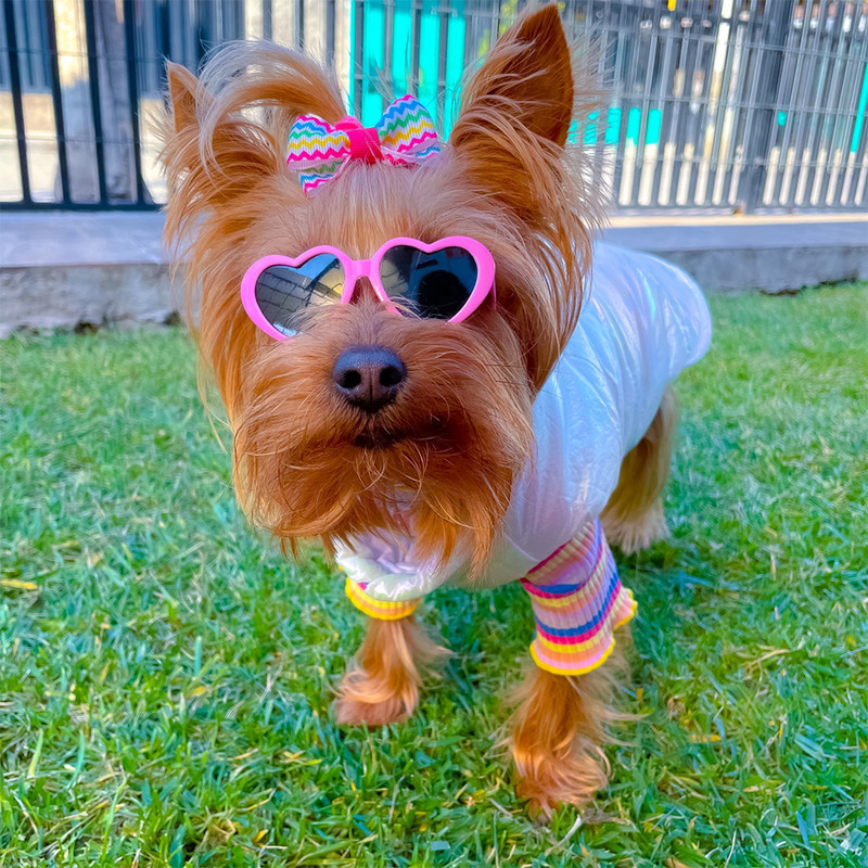 Kisállat kutya ruhák kiskutya mellény póló Aranyos pizsama téli alsó ing garbós csíkos irizáló pulóver