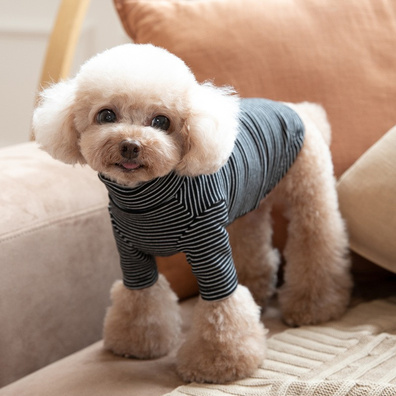 Rudens ziemas suņiem Augstas elastības svītru džemperis ar bruņurupuci, necaurlaidīgas kokvilnas blūzes maziem suņiem Kaķu kucēnu drēbes