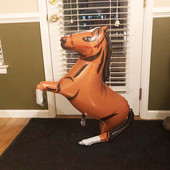 Lieli balti zirga folijas baloni Milzīgi daudz laimes dzimšanas dienas ballīšu dekorācijas Mylar balons kovboju dzīvnieks bērnu dušas ferma hēlija globos