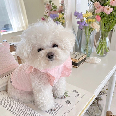 Celebrity Wind Teddy Vest Bomei Pulover de modă de vară Respirabil Haine pentru câini de culoare solidă Cățeluș Haine de acasă Articole pentru animale de companie