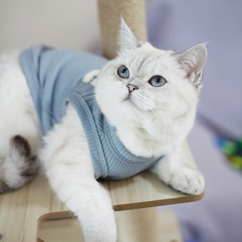 Καλοκαιρινό γιλέκο κατοικίδιων ζώων για σκύλο γράμμα γάτας Εκτύπωση ρούχα για κατοικίδια Λεπτά πουλόβερ για κατοικίδια Kitty Puppy Μικρό σκυλί που αναπνέει γαλλικό μπουλντόγκ Τσιουάουα