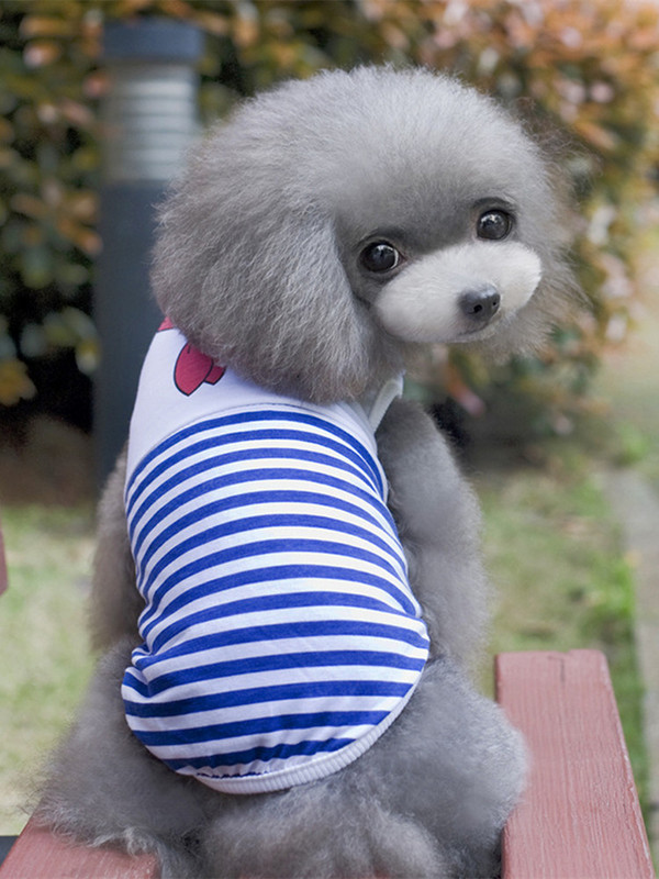 Drabužiai naminiams šunims mažiems šunims Vasariniai animacinių filmų liemenių drabužiai Jūreivio kaklaraištis Spausdinti tamsiai mėlynos kaklaraiščio juostelės Kačių šuniui kvėpuojantys marškinėliai