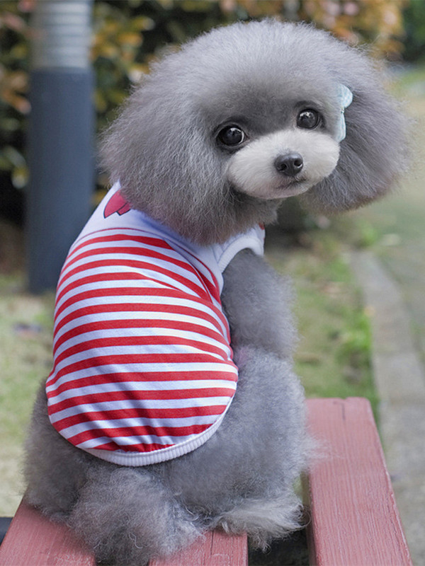 Drabužiai naminiams šunims mažiems šunims Vasariniai animacinių filmų liemenių drabužiai Jūreivio kaklaraištis Spausdinti tamsiai mėlynos kaklaraiščio juostelės Kačių šuniui kvėpuojantys marškinėliai