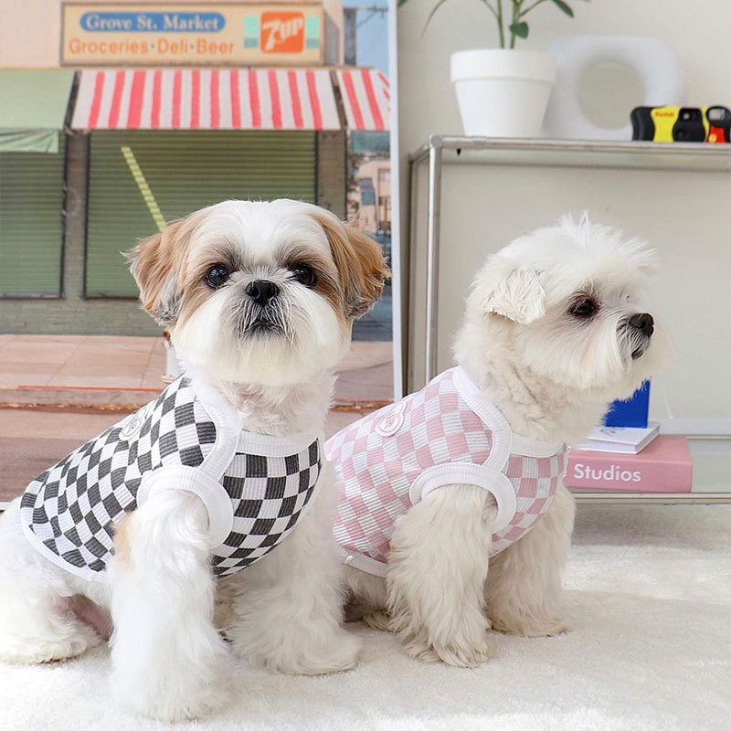 Pavasario vasaros drabužiai augintiniams Kačiukas šuniukas tinklelis Mažo ir vidutinio dydžio šunų mados liemenė ploni marškinėliai Chihuahua Yorkshire