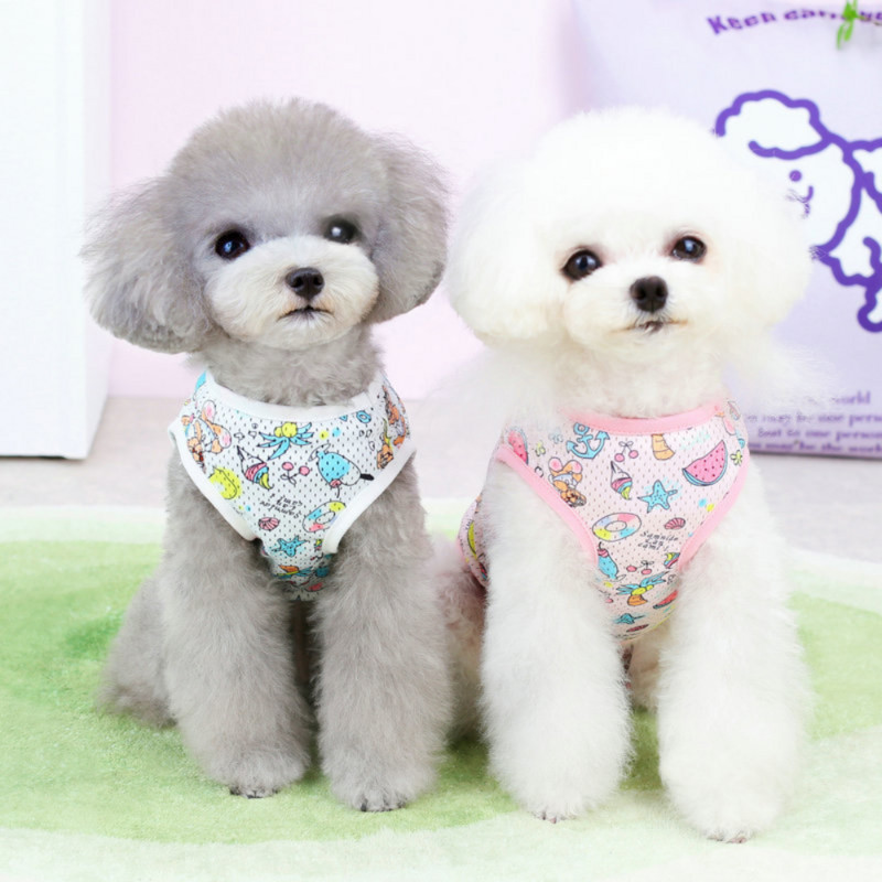 Rūbai šuniukui Pavasario vasara mada Animacinių filmų liemenė Mažas šuo Mielas dizaineris Megztinis Katė Saldūs marškinėliai Pižama Čihuahua Pudelis