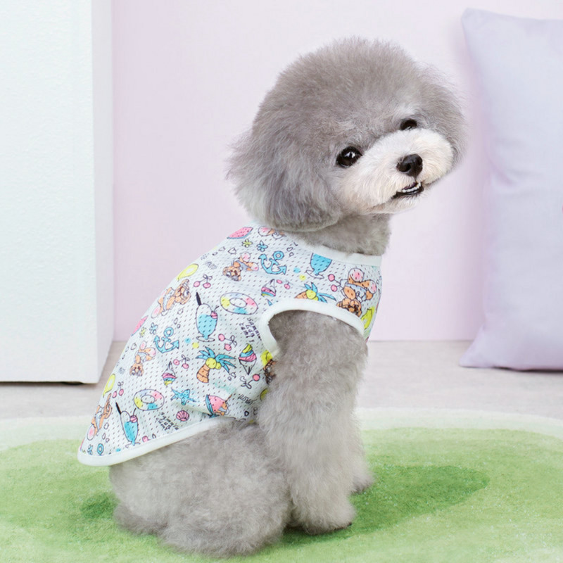 Rūbai šuniukui Pavasario vasara mada Animacinių filmų liemenė Mažas šuo Mielas dizaineris Megztinis Katė Saldūs marškinėliai Pižama Čihuahua Pudelis