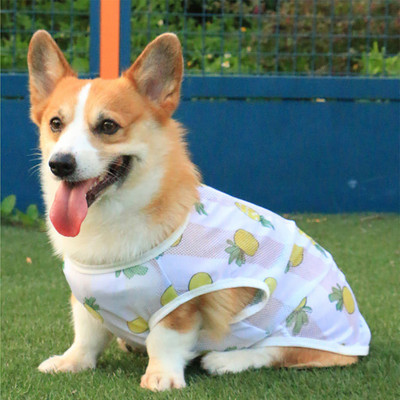 Kisállat ruhák Fényvédő mellény kutyának borotválkozás után kölyökruhák kiskutya kölykök 4 évszak hajhullás elleni nyári corgi ruhák