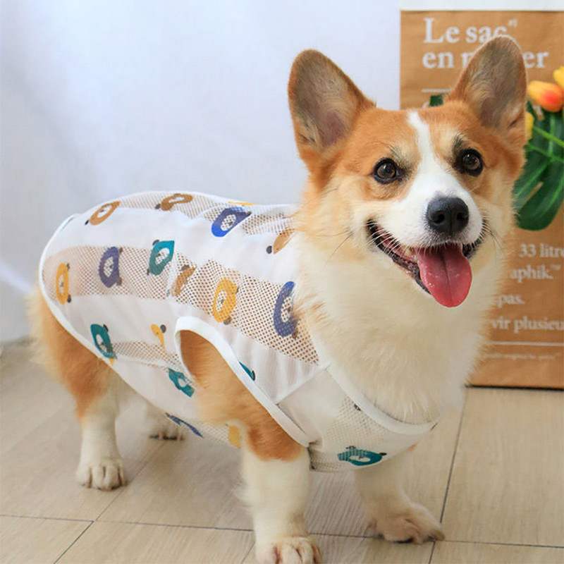 Kisállat ruhák Fényvédő mellény kutyának borotválkozás után kölyökruhák kiskutya kölykök 4 évszak hajhullás elleni nyári corgi ruhák