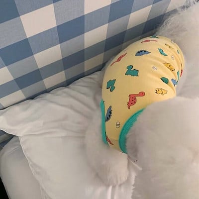 2023 Câine Verde Dinozaur Urs Iepure Îmbrăcăminte Vară Câine Subțire Tank Top Pulover Respirație cu patru picioare Îmbrăcăminte moale pentru animale de companie Produse pentru câini