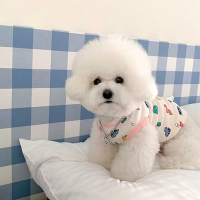 2023 Câine Verde Dinozaur Urs Iepure Îmbrăcăminte Vară Câine Subțire Tank Top Pulover Respirație cu patru picioare Îmbrăcăminte moale pentru animale de companie Produse pentru câini